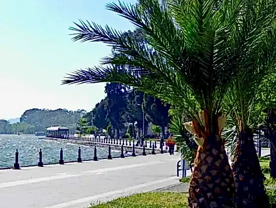 Köyceğiz Hakkında