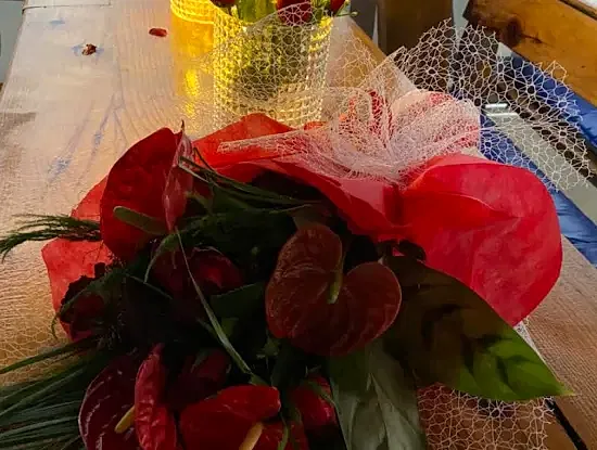 Köyceğiz Fotoğrafları