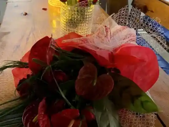 Köyceğiz Aktiviteleri