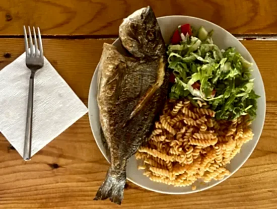 Köyceğiz Aktiviteleri